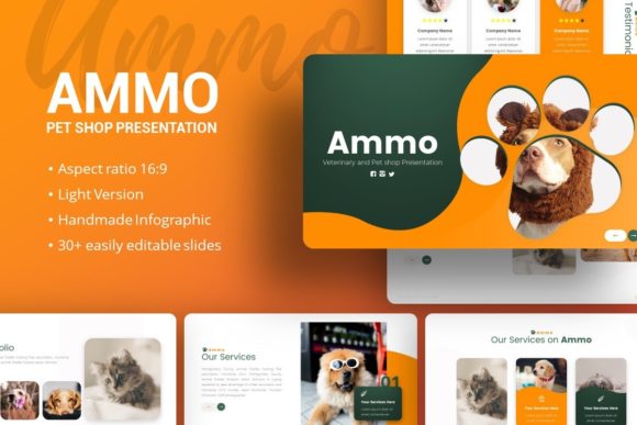 Presentation Template - Ammo: Versatile Slide Design